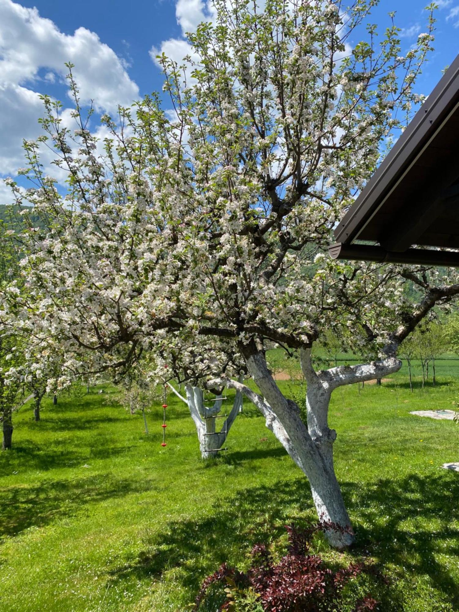 Kuca Dide Juke Pod Lipovcem Villa Gospić Eksteriør bilde